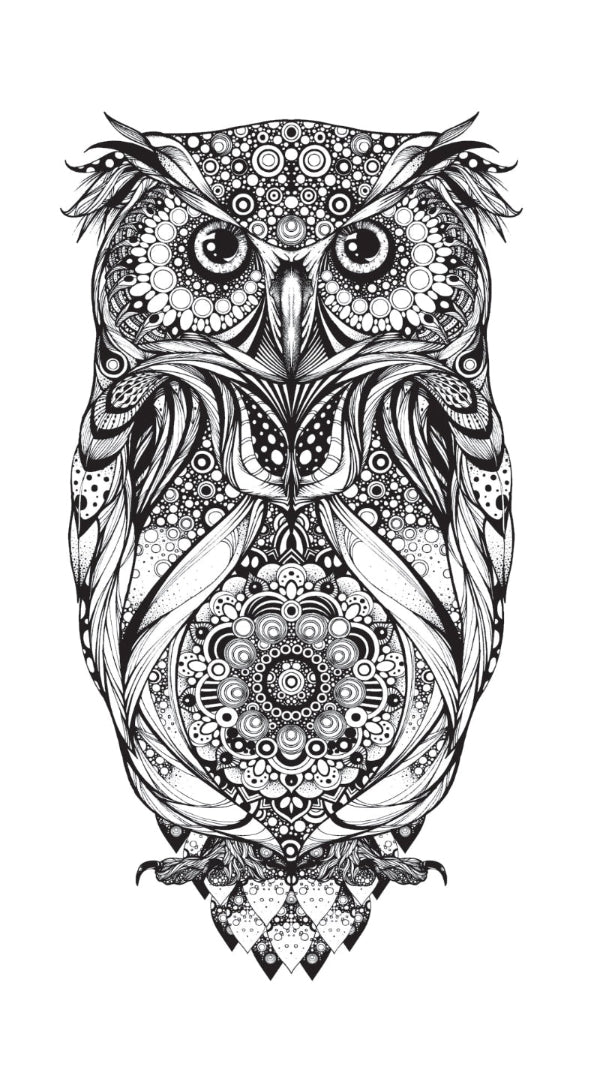 HOOT Owl